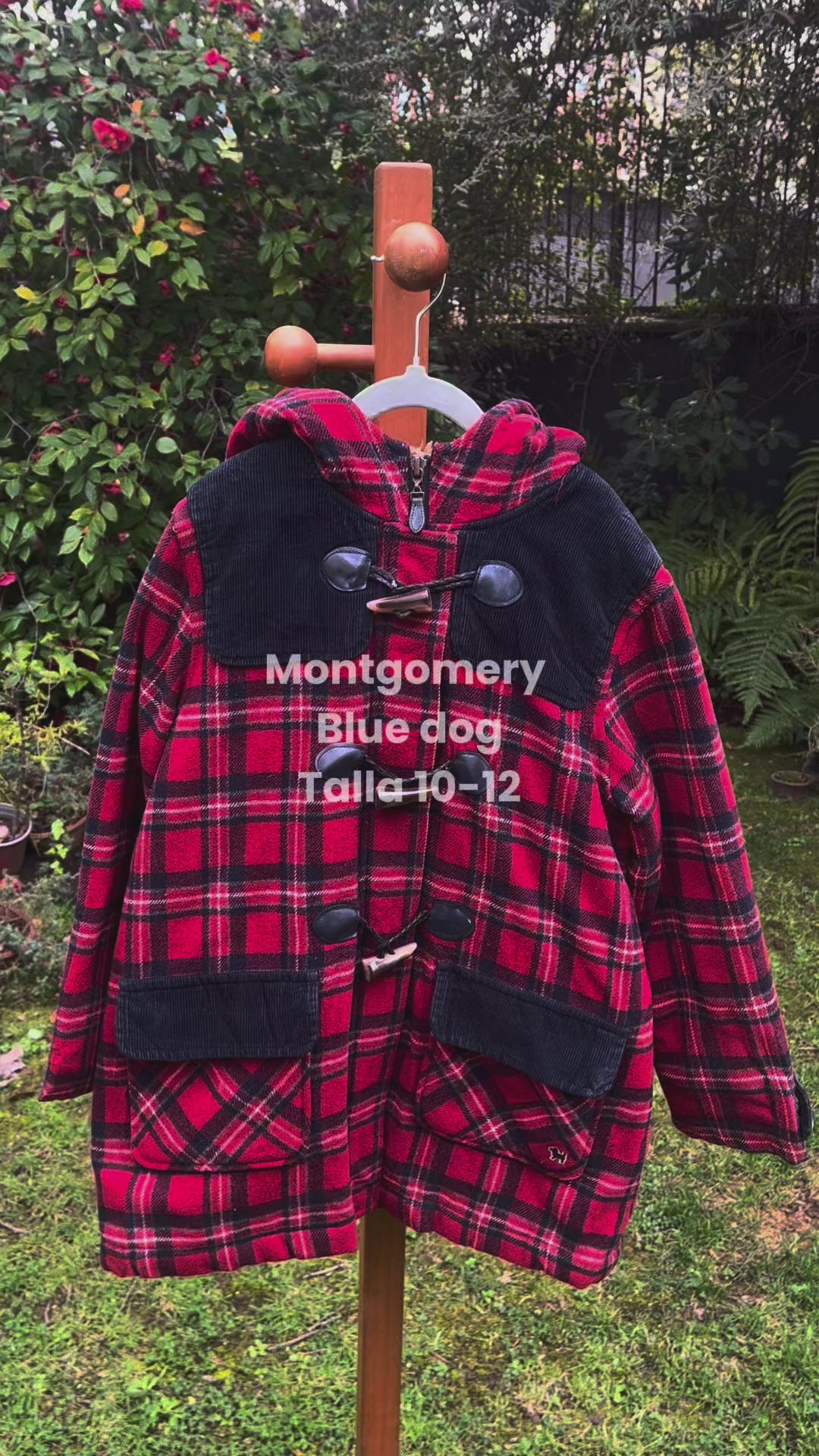 Montgomery infantil Blue Dog rojo | Talla 10-12