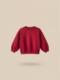 Polerón unisex básico de color rojo de la marca Vamos Niños, ideal para bebés de 18 a 24 meses.